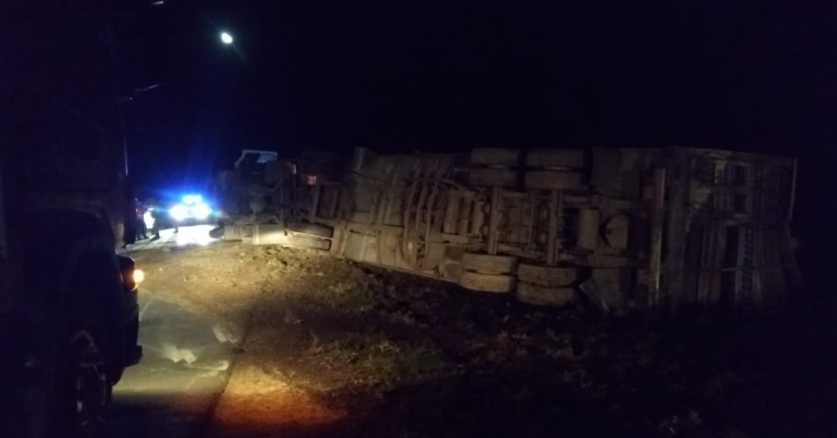 Vecinos rojenses que circulaban por el lugar se comunicaron con este medio para dar aviso a quienes deban transitar por allí que tengan precaución por la existencia de animales sueltos en la calzada y en estado de shock por el accidente.