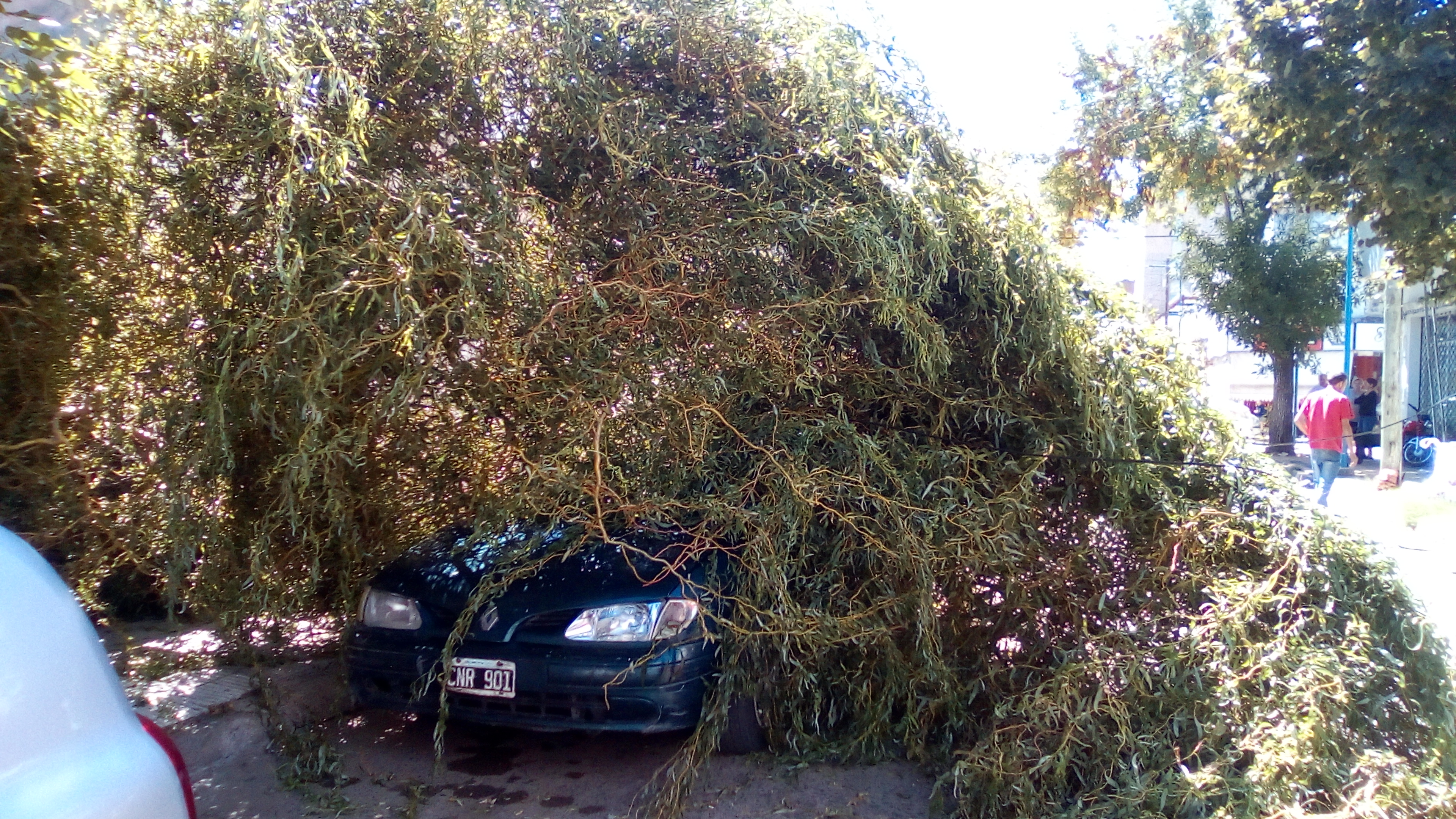 El incidente sucedió este miércoles 20 de marzo a las 12.45 horas en calle Alem al 400.