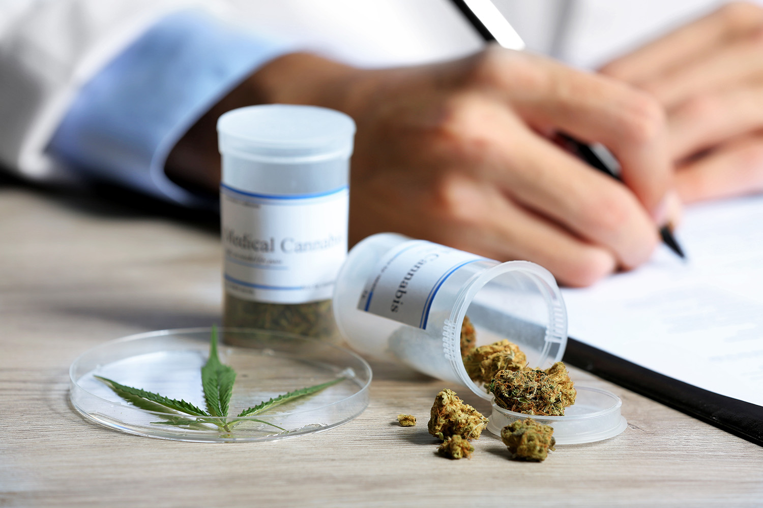 Desde la Delegación local a cargo de Ramiro Baguear se solicita a las familias rojenses que tengan alguna dificultad de acceso a este tratamiento para parientes que padezcan alguna de las enfermedades tipificadas con este régimen terapéutico del uso medicinal de la planta de cannabis, que se acerquen a su oficina de calle 9 de Julio entre Alem y Alvear, para tomar su reclamo y sumarlo a los de los vecinos de toda la provincia.