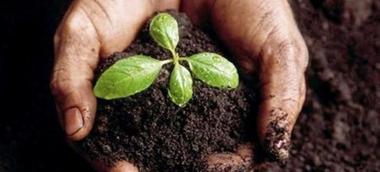 El viernes 15 y sábado 16 de julio se llevará adelante una doble jornada de concientización agroecológica en Los Toldos y en Zavalía, de la que participarán rojenses que proponen, a través de un taller de producción, visión y prácticas agroecológicas, volver a trabajar protegiendo el medioambiente.