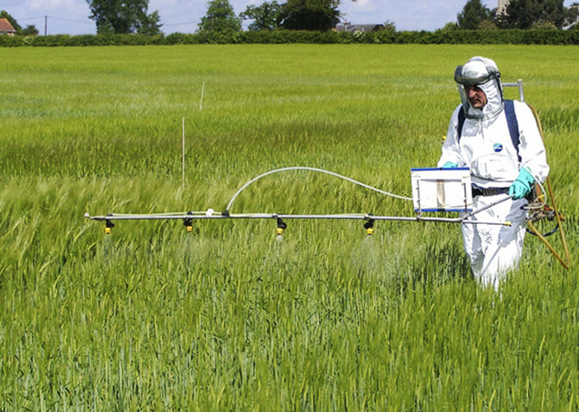En nuestra región, la utilización de estos agrotóxicos es intensiva con la presencia del principal distribuidor mundial como lo es Monsanto-Bayer, que ya ha sido condenado en Tribunales Internacionales por ecocidio, entendiendo como tal el daño severo que le causa al medioambiente, llevándolo a su destrucción, alterando los valores de los ecosistemas fundamentales para la supervivencia de todas especies de vida.