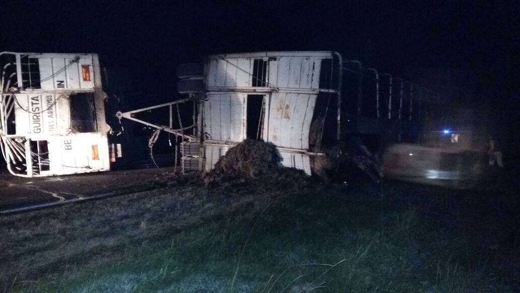 Marcamos que pudo ser una tragedia ya que el ganado que transportaba el camión quedó sobre el asfalto, lo que causó que una combi que se dirigía hacia Junín embistiera uno de estos vacunos, destruyendo el vehículo, pero afortunadamente sin lesionados de importancia.