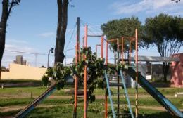 Pista de la Salud: Cayeron ramas sobre la zona de juegos