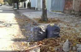 Otoño mugriento: A la falta de limpieza se suma la incesante caída de hojas