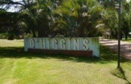O'Higgins: Murió un niño de 12 años al caer de un caballo