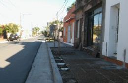 Reponen árboles en calle Paso: Los vecinos reclaman el arreglo de las veredas