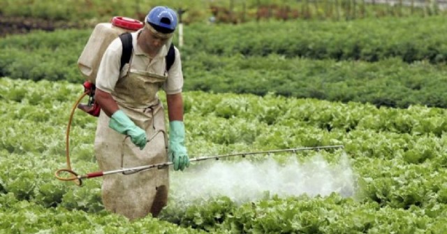 Fumigaciones con agrotóxicos en Pergamino: procesan a tres productores rurales
