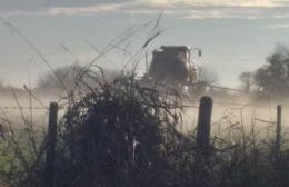 Fumigan un campo al lado de Villa del Parque Cecir