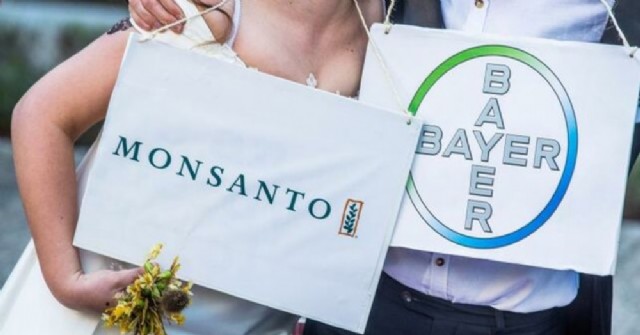 Así trataba Monsanto de manipular sobre el glifosato en España