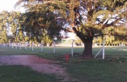 Avanza la instalación del alambrado olímpico en la cancha del Parque General Alvear
