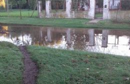 Vecinos de Santa Teresa sufren nuevamente el agobio y desconsuelo por las inundaciones