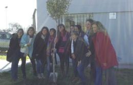 Descubren una placa en el CIC por los 70 años de la educación especial en Argentina