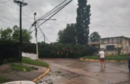 El último temporal causó serios destrozos en Pergamino
