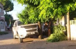 Una camioneta se subió a la vereda y derribó un árbol