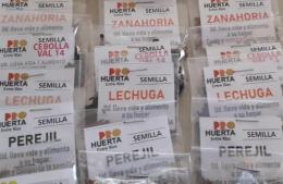 ProHuerta: el INTA entrega los kits de semilla