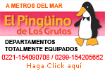 El Ping�ino de Las Grutas
