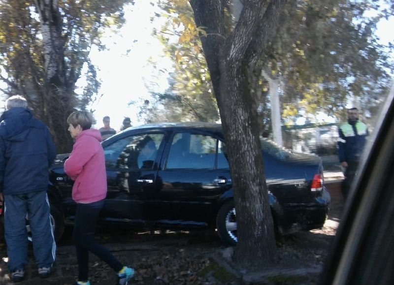 Susto en Avenida Helguera.