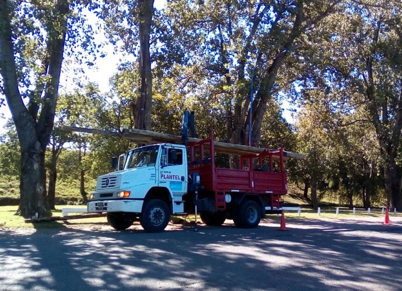 El día después de la caída del poste en la Pista de la Salud.