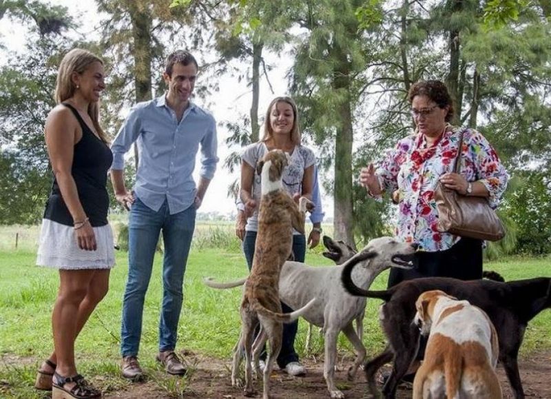 El gobierno municipal prometió un hospital veterinario, guardias de emergencia y asistencia a los proteccionistas.
