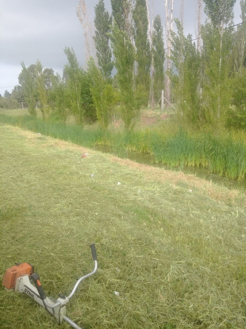 Mantenimiento en espacios verdes.