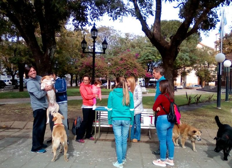 Jornada en Plaza San Martín.