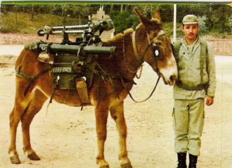 Los sectores rurales de Rojas ya le declararon la guerra a Rossi. (Imagen ilustrativa)