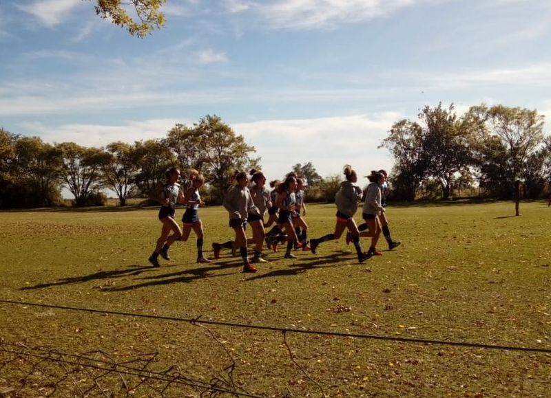 Gritos de gol por doquier.