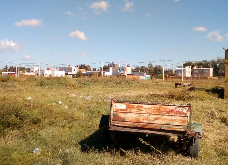 Hubo tareas de desmalezamiento.