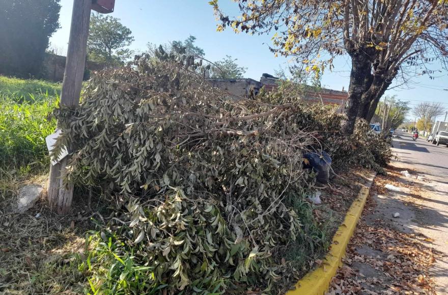 No se puede hacer lo que a uno le plazca si se perjudica a otro.