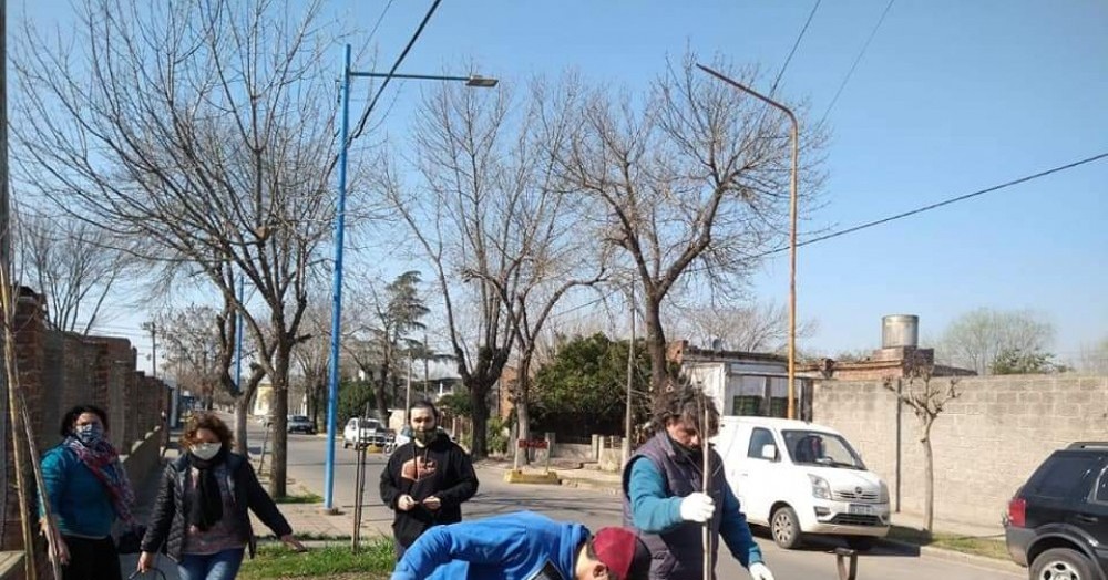 Ejemplares cedidos por el área municipal de Parques y Paseos.