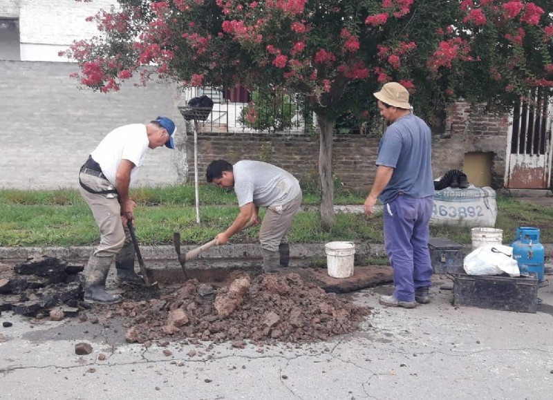 Cuadrilla en plena tarea.