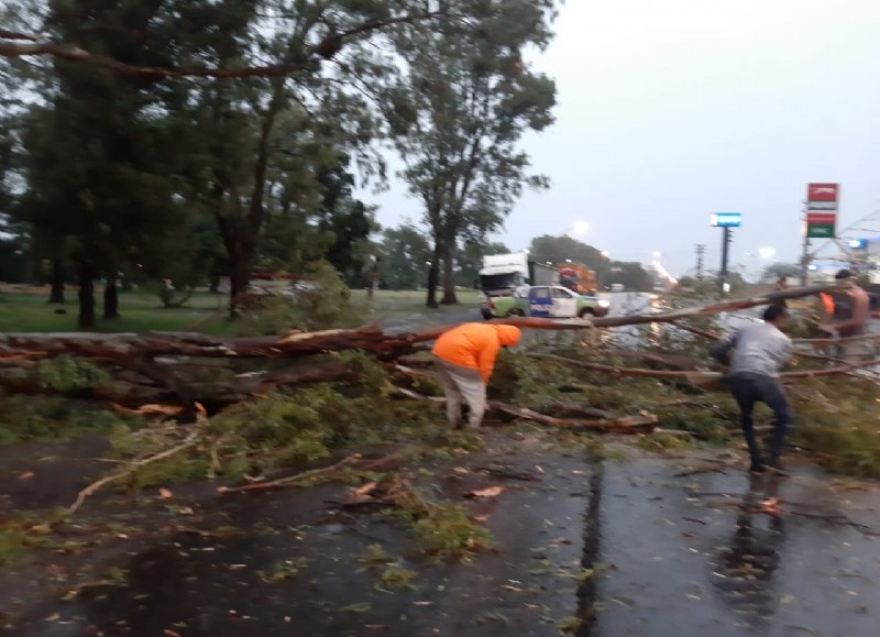 A pocos metros del ingreso por Avenida Bicentenario.