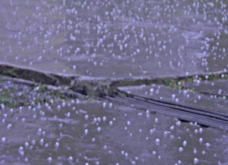 Otra vez lluvia y con granizo.