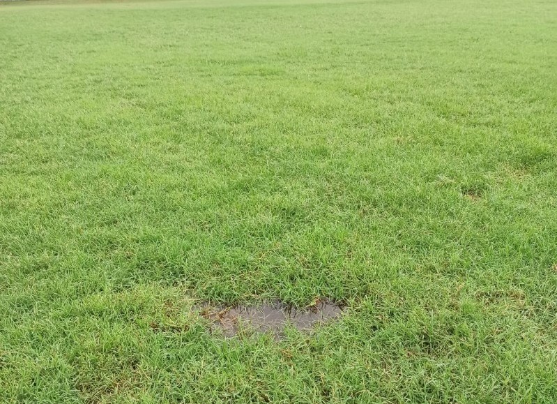 Las lluvias castigaron al campo de juego.