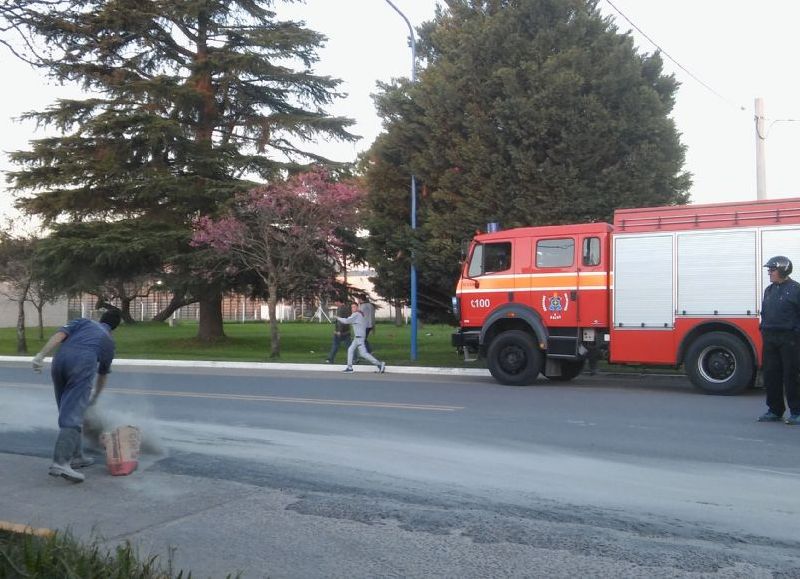 Intervinieron los bomberos.