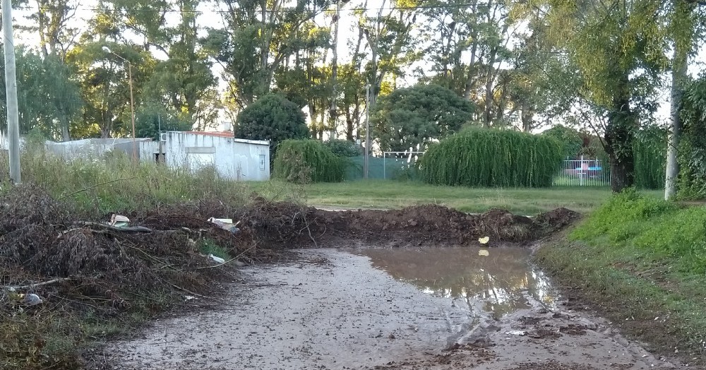 Caldo de cultivo para los mosquitos.