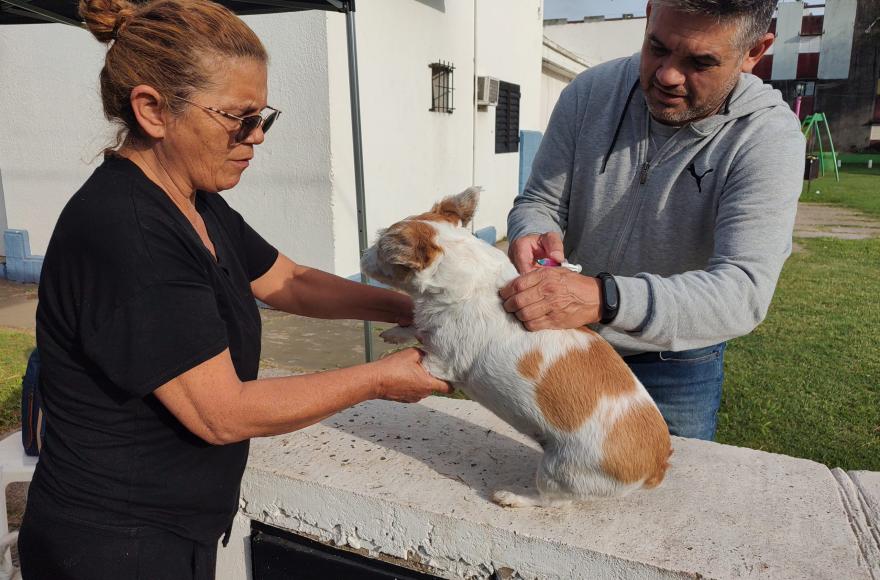 Más de 60 mascotas fueron vacunadas en una nueva jornada antirrábica