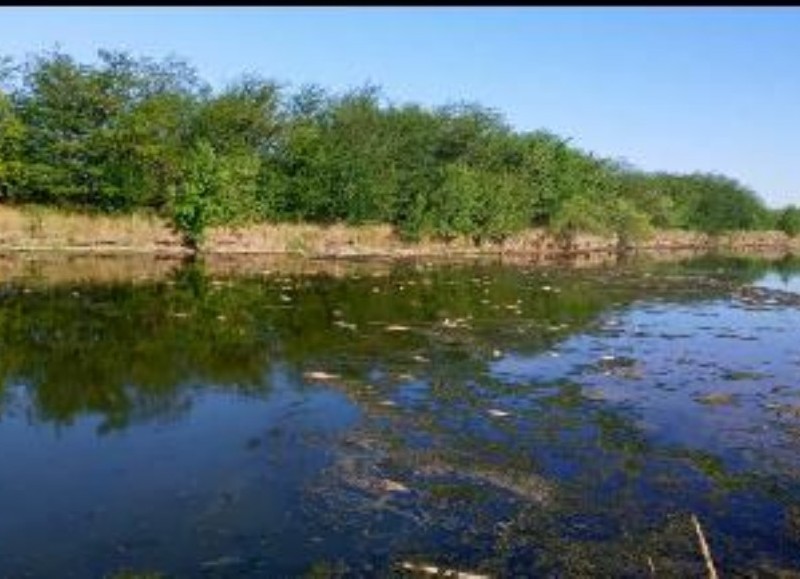 Zona de Las Cinco Esquinas.