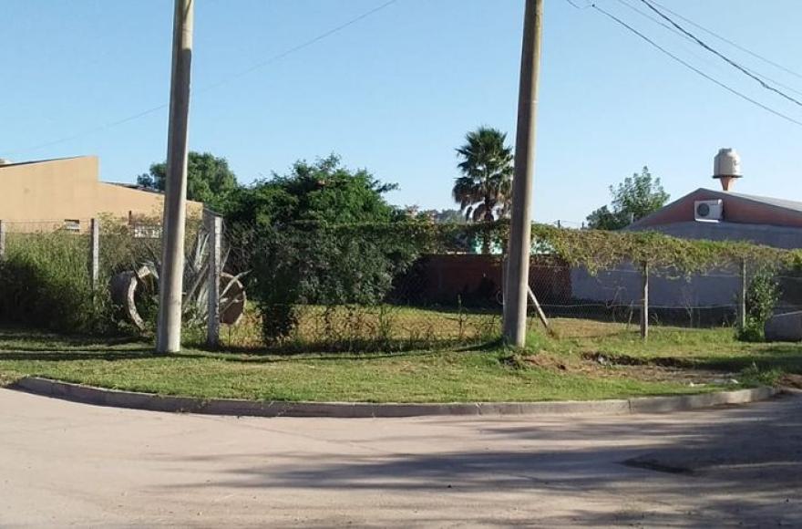 Piden al Municipio que tome cartas en el asunto.