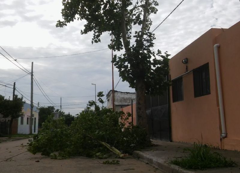 Más consecuencias de la tormenta del 30 de diciembre.