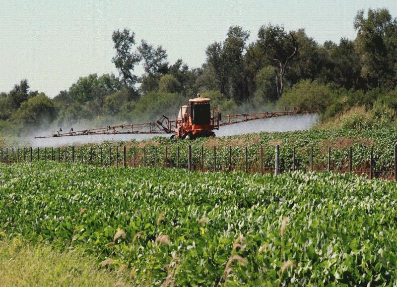 Territorio copado por los agrotóxicos.