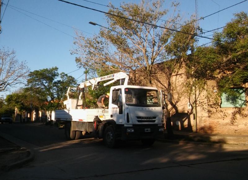 Trabajos a buen ritmo.