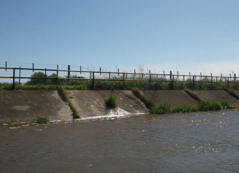 ¿De qué zona proviene?