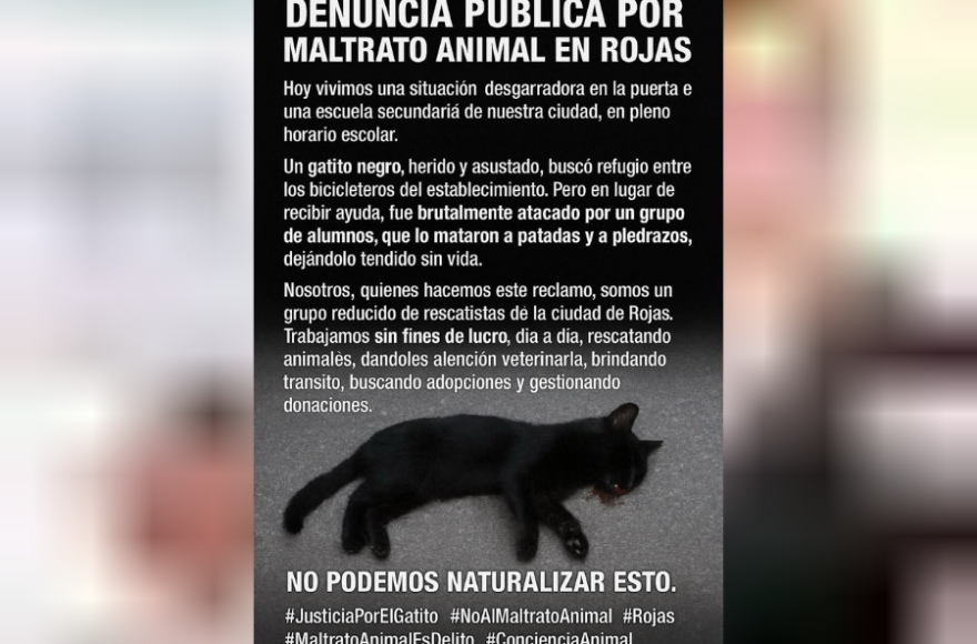 Los rescatistas exigieron a las autoridades escolares que tomen medidas concretas ante el caso y promuevan instancias de concientización