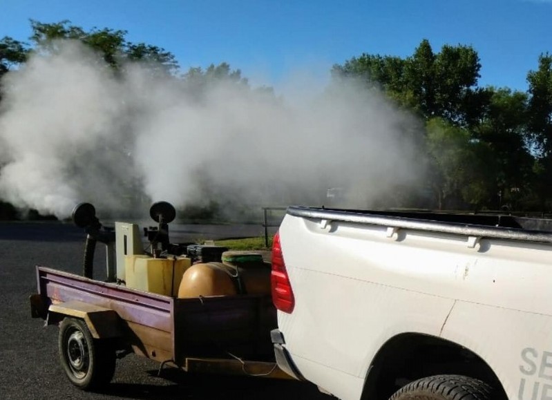 Fumigación en distintos puntos de la ciudad.