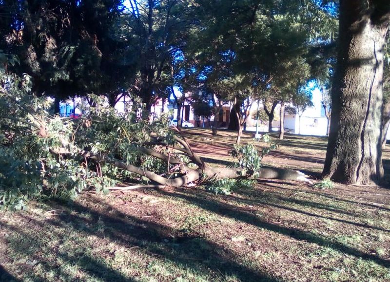 Ocurrió en horas de la madrugada.