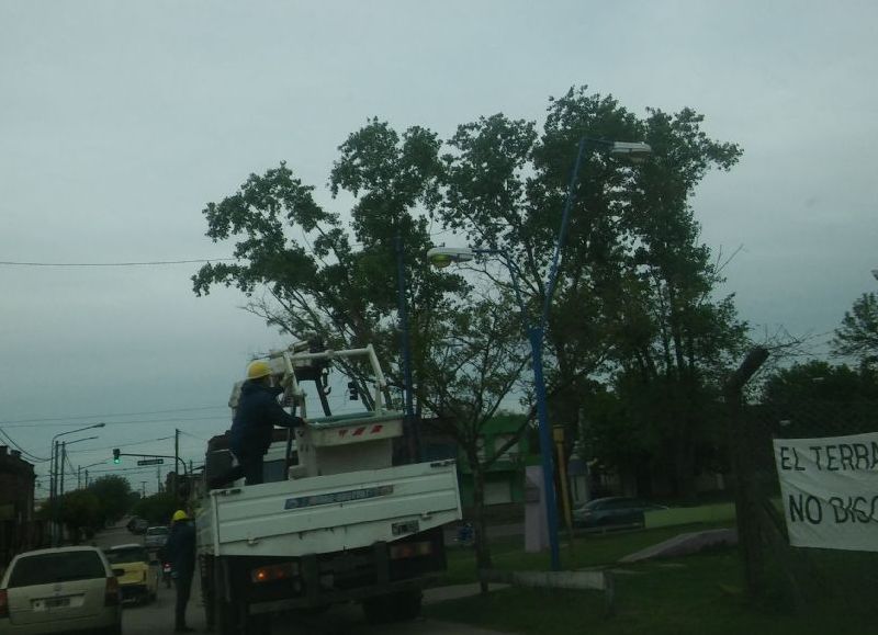 Cuadrilla en plena labor.