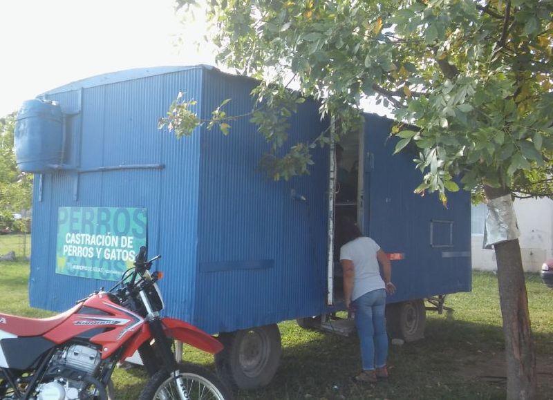 Vacunación y castración de mascotas.