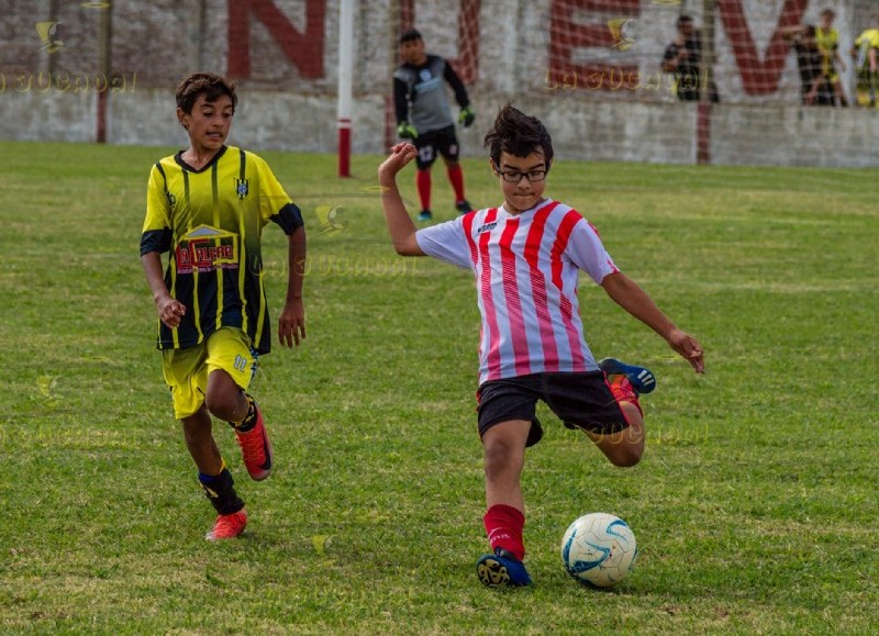 Acción en el verde césped.