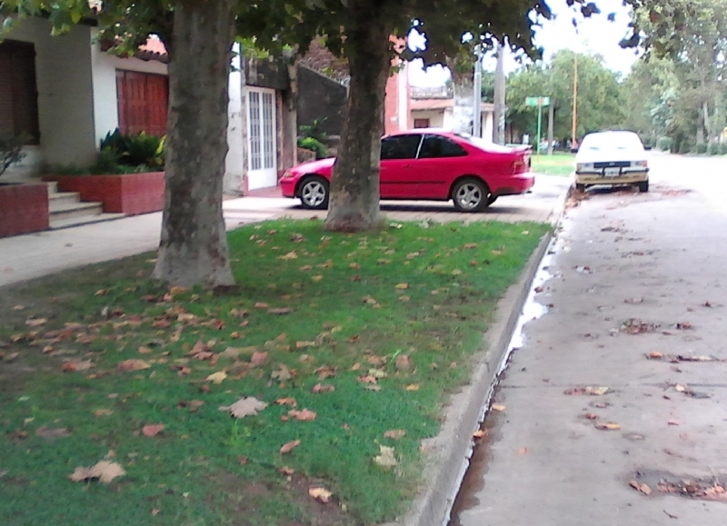 Castro con su auto estacionado sobre la vereda de su casa. Vergüenza ajena.